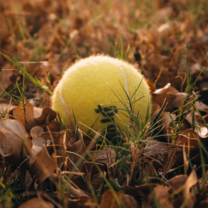 tennis-ball